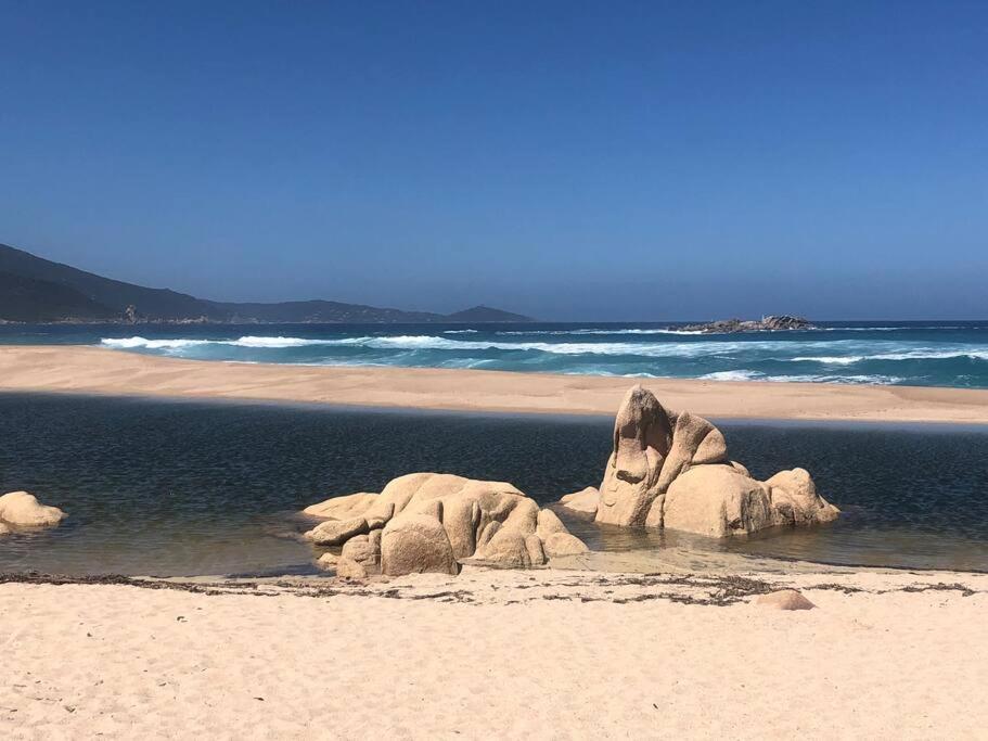 Appartement T2 Avec Piscine Aux Portes De La Plage De Cupabia Serra-di-Ferro  Buitenkant foto