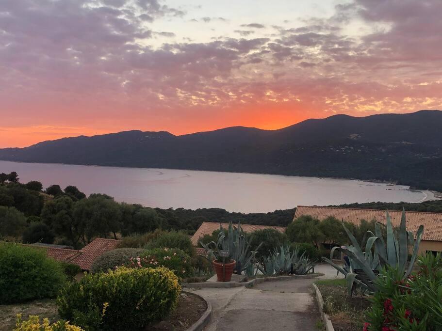 Appartement T2 Avec Piscine Aux Portes De La Plage De Cupabia Serra-di-Ferro  Buitenkant foto