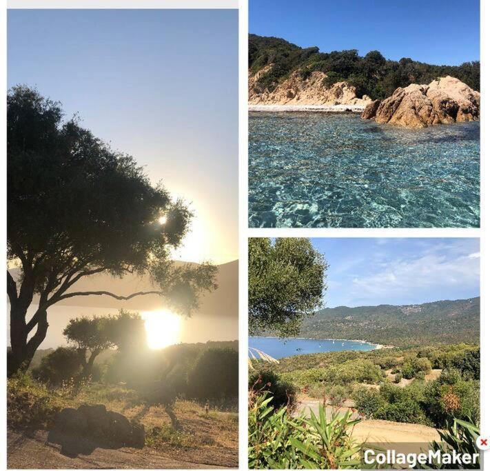 Appartement T2 Avec Piscine Aux Portes De La Plage De Cupabia Serra-di-Ferro  Buitenkant foto
