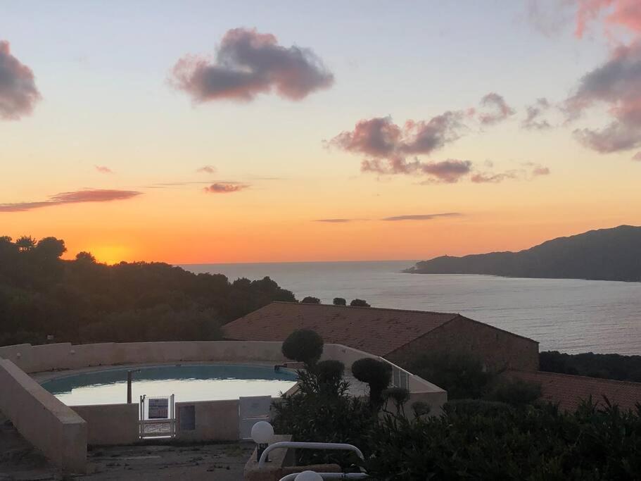 Appartement T2 Avec Piscine Aux Portes De La Plage De Cupabia Serra-di-Ferro  Buitenkant foto