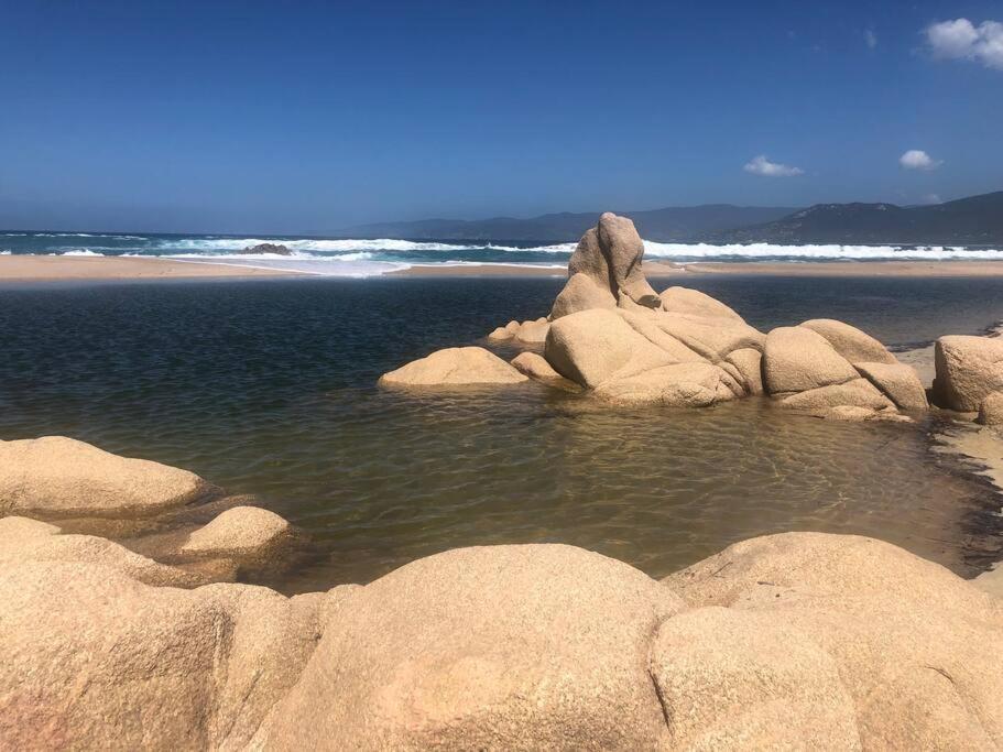 Appartement T2 Avec Piscine Aux Portes De La Plage De Cupabia Serra-di-Ferro  Buitenkant foto
